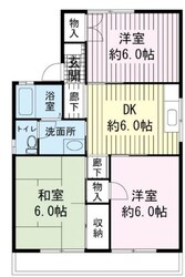 セジュールヤマトの物件間取画像